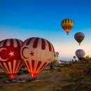 카토피아 이미지