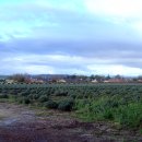 엘에이농장 이미지