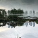 고대1097 이미지