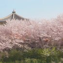 자산공원 티스토리