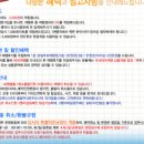 새부산관광투어주