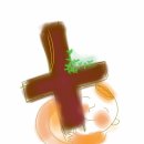 (주)생명나무 이미지