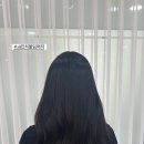 하니붙임머리