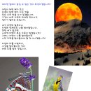 대호만물 이미지