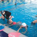 장호초교 이미지