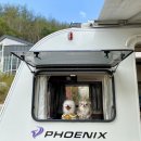 스테이독 이미지