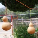 증산민박 이미지