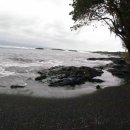 하와이야시장 이미지