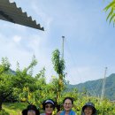 나래농원 이미지