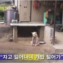 먹는세상