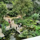 서울식물원 이미지