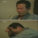 농부왕 Daum카페