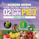 무 병해충 무름병 무사마귀병(뿌리혹병) 시들음병 검은썩음병 바이러스 배추좀나방 벼룩잎벌레 친환경...