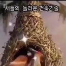 초가삼간 Daum카페