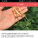 승자농장 이미지