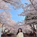 CU(진해로망스점) 이미지