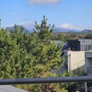 국제타운공인중개사사무소 | 더쎈부동산, 제주영어교육도시 숲속에 포근한 소형 타운하우스 제주국제학교포레1차 매매