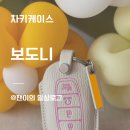 차키케이스추천ㅣ아이디어스 보도니 현대 베뉴 스마트키 케이스 후기