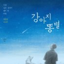 강아지 똥 이미지