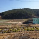 성도 농장 이미지