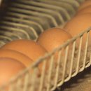 지현농장 이미지