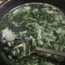 탕집 Daum카페