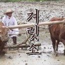 큐티 이미지