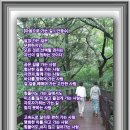 색동