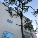 아라길(작은영화관 옆) | 화성시 작은 영화관 7천원 영화 관람 후기