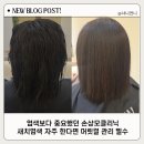 브리즈 | 천안손상모클리닉 찾는다면 프리미엄새치염색 컬러브리즈천안점 후기
