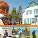 빨강머리 앤 이미지