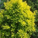 사철슈퍼 이미지