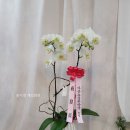 새서울DMC약국 이미지