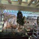 정원출장 이미지