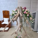 성전농장 이미지