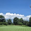 파인힐스컨트리클럽 | 한국오픈 개최지 우정힐스 컨트리클럽 방문 후기, 골퍼라면 꼭 가봐야 할 이유