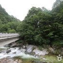 서면사무소(양양) 이미지