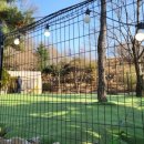 아틀리독 이미지