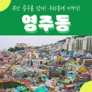 [부산 중구를 담다 시리즈#4] 우리동네 이야기 네번째, 영주동