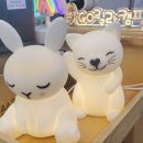 고릴라캠핑서울 이미지
