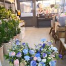 flowerstory