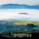 봉낙원민박 이미지