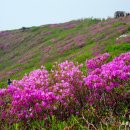 제15차, 상하옥 향우회 정기산행.. 태백산 이미지