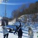 평창 휘닉스파크 이미지