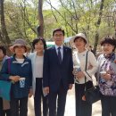 태릉유아숲체험원 네이버블로그