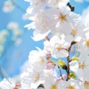 니하오 중국어 이미지