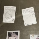 까사까미노 | [여자 혼자 제주도 게스트 하우스 후기] ‘까사까미노’ 내돈내산