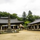 공주-07 Daum카페