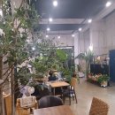 알로하카페 이미지