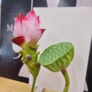 연파회관 이미지